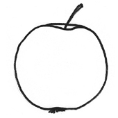 Fruit